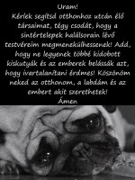 /album/sos-kutyak-fogadj-orokbe-2015/a13016-994462497236700-3925175809283330466-n-masolata-jpg/